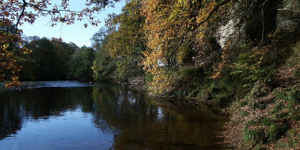 Barskimming Scene RAW